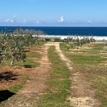 بيت للعطل Dimora *